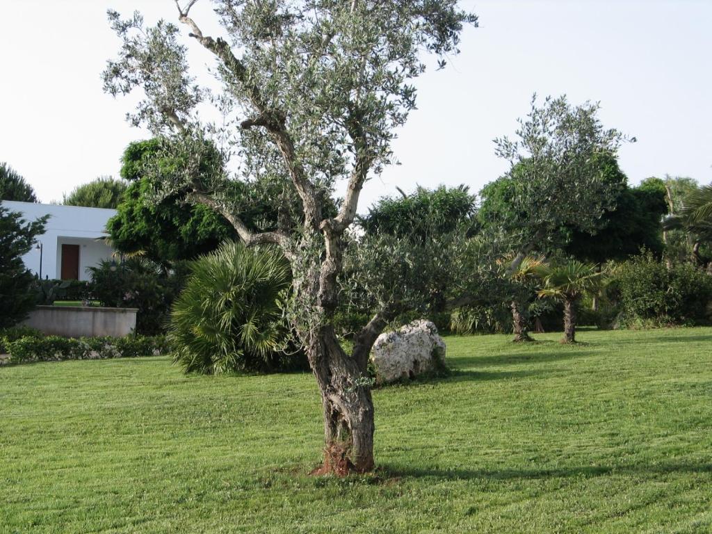 Agriturismo Il Venticello Villa Santa Cesarea Terme Esterno foto